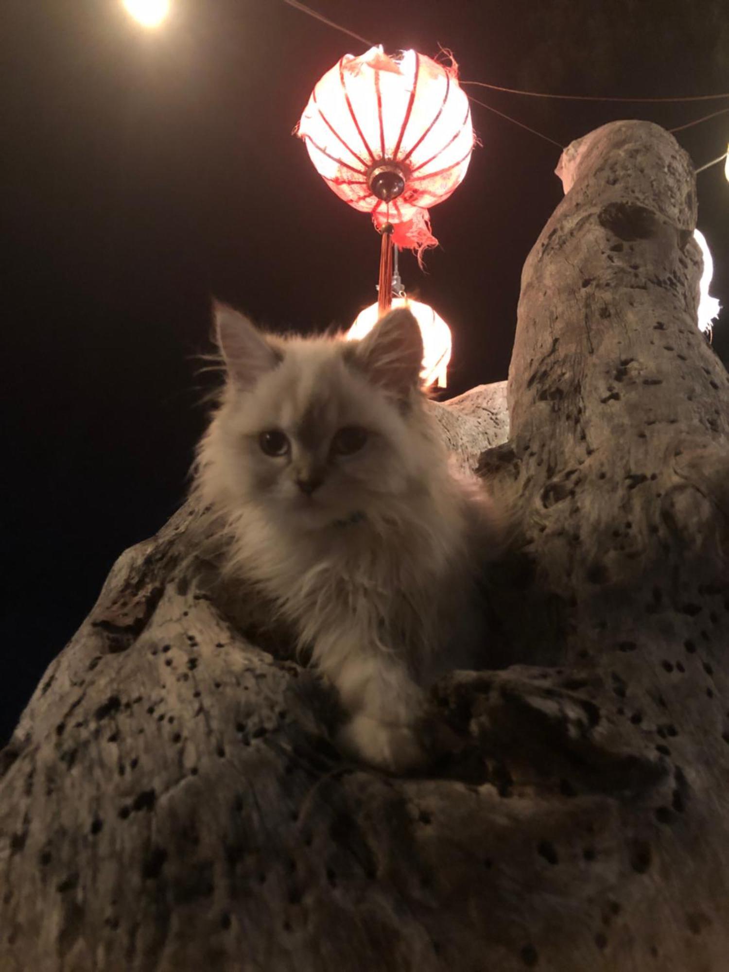 La Boheme Ξενοδοχείο Νησιά Γκίλι Εξωτερικό φωτογραφία